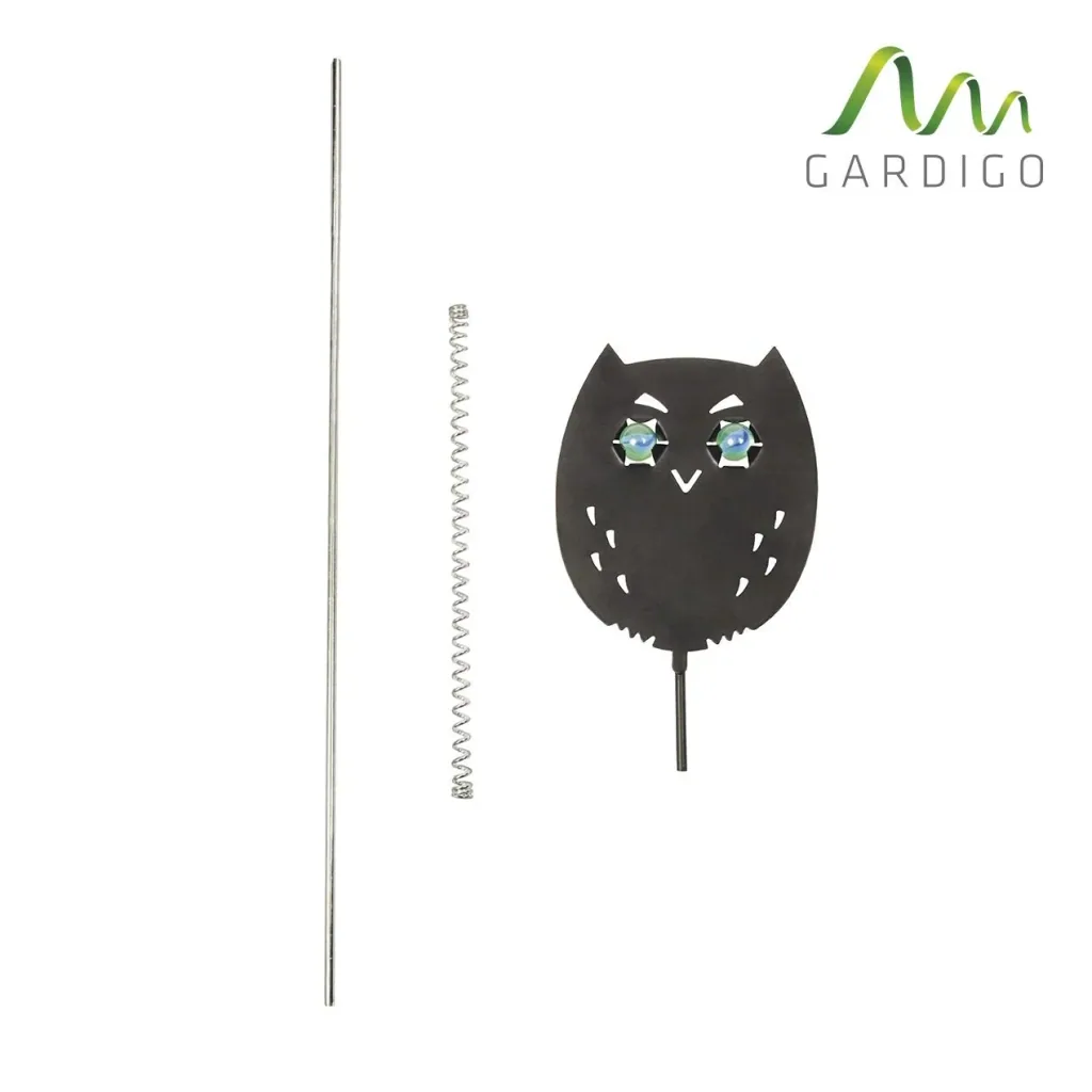 Bird-free Eulanda set of 4