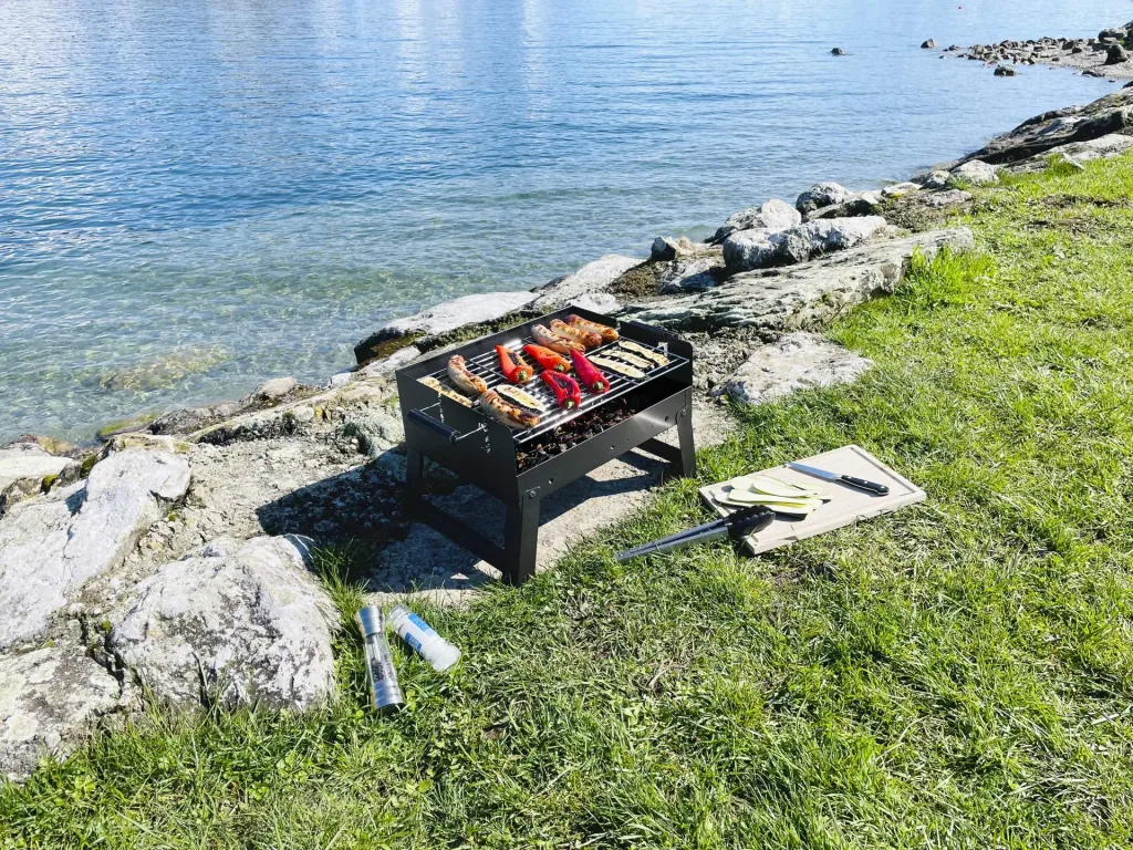 Portable charcoal grill CARVAO