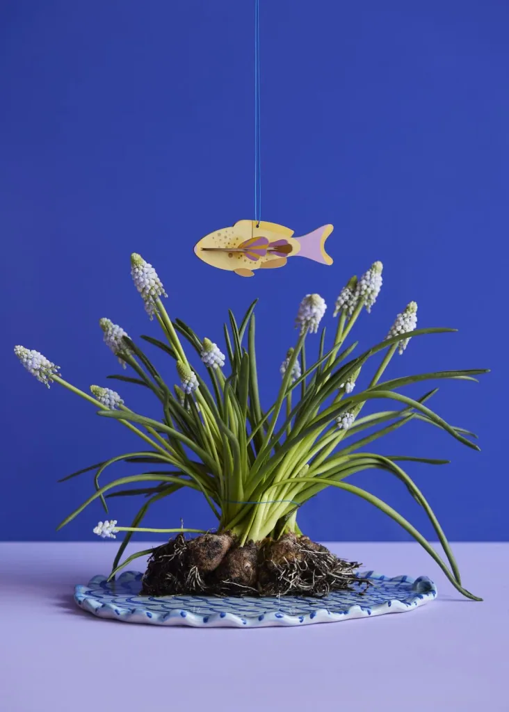 Studio ROOF Ornament, crafts set, 3D wall object - Fish