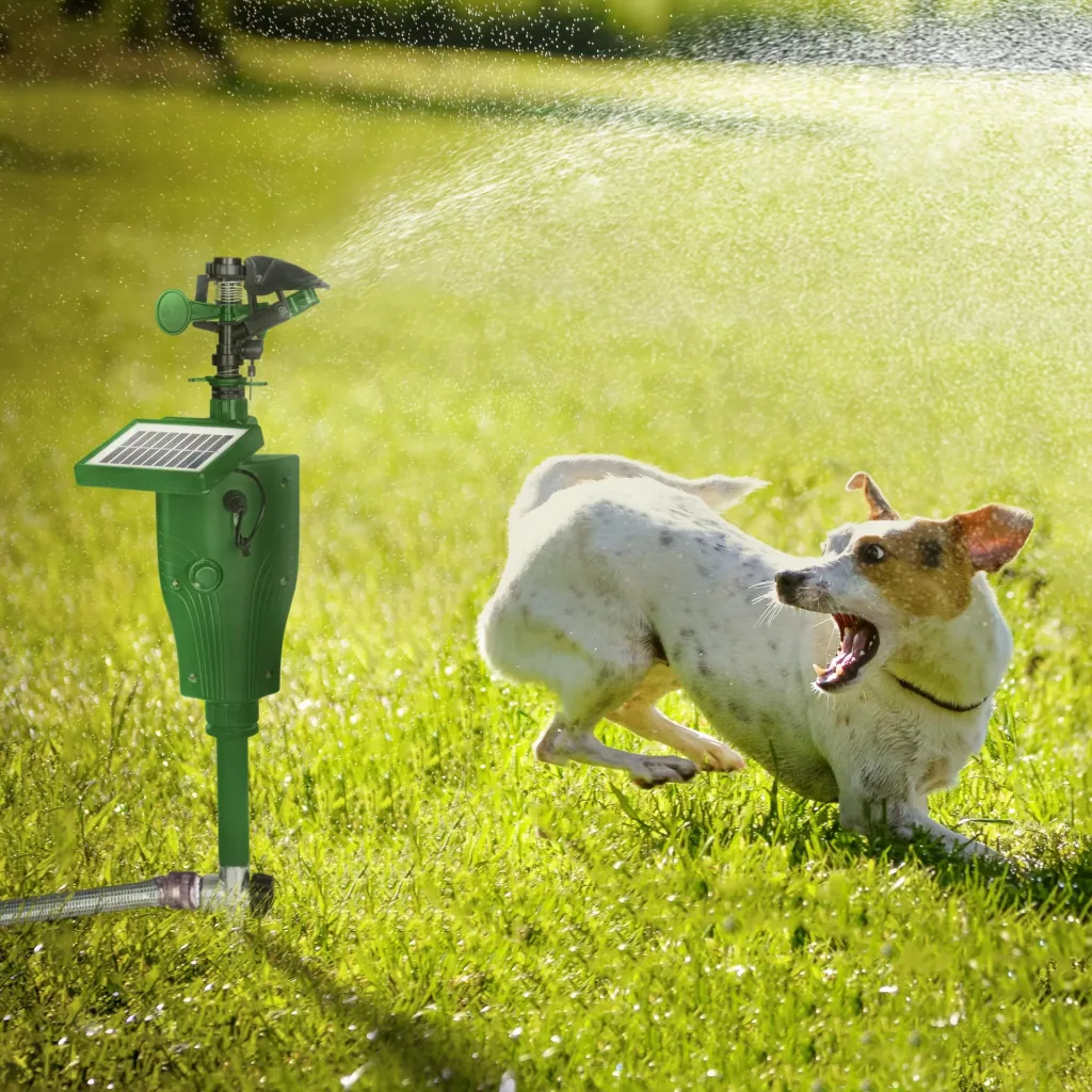 Solar water animal repellent