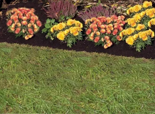 Lawn edger 20 cm, T-handle