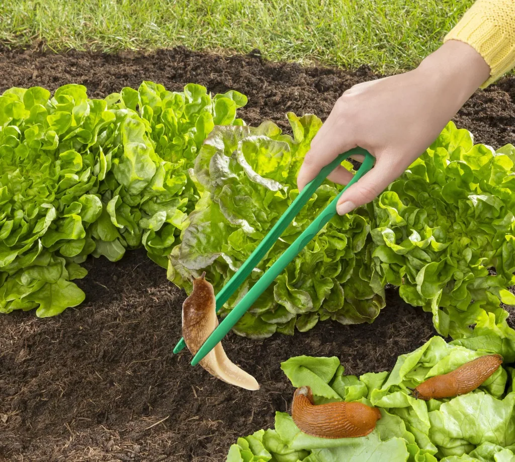 Snail tongs, plastic, green