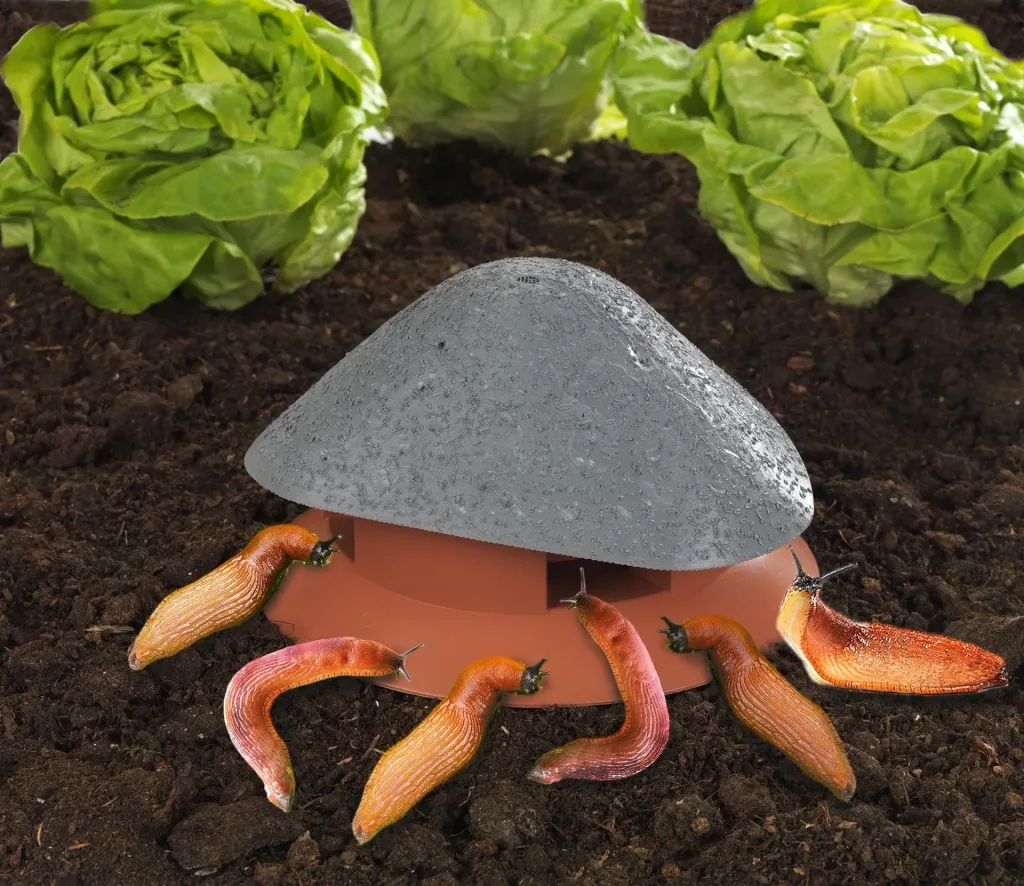 Slug bait house