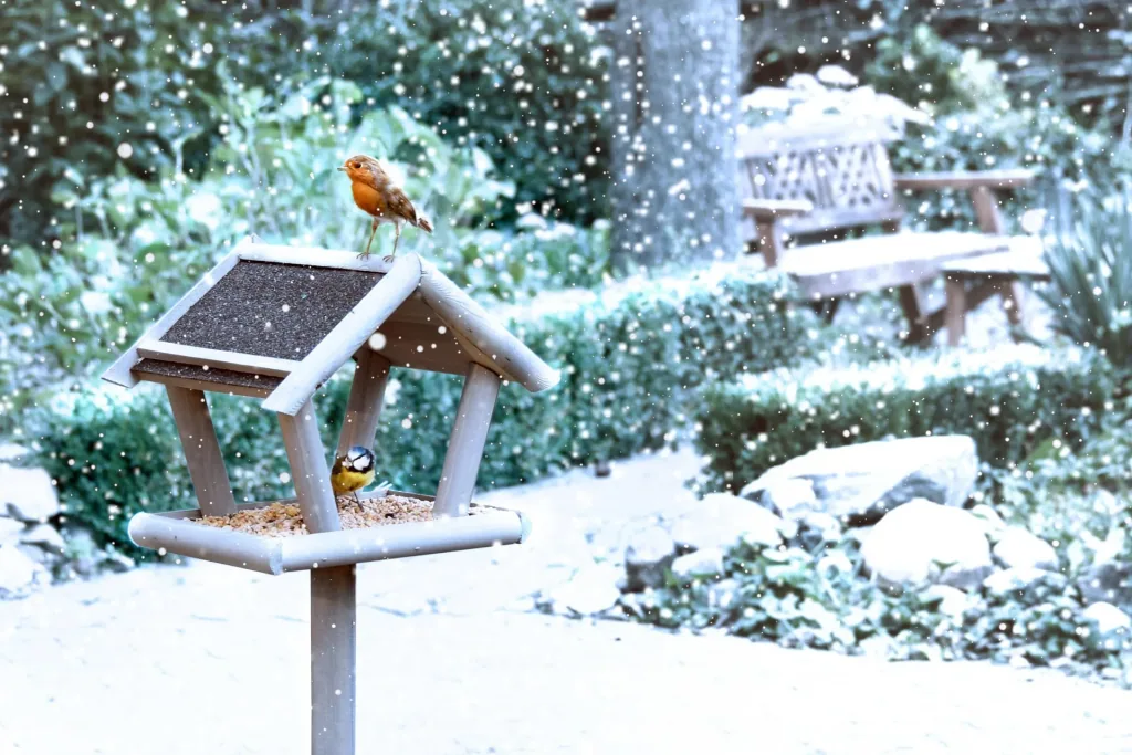 Sweden bird feeder set with litter feed 1 kg