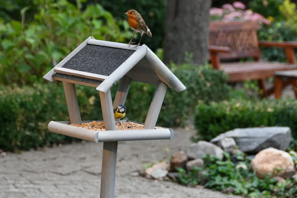 Sweden bird feeder set with litter feed 1 kg