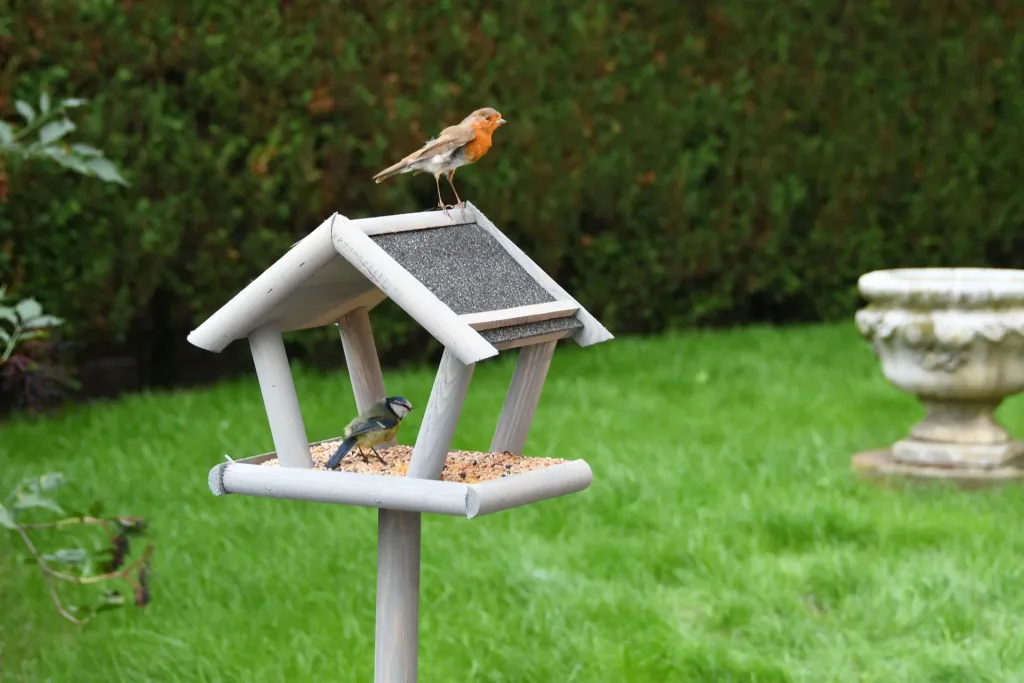 Sweden bird feeder set with litter feed 1 kg