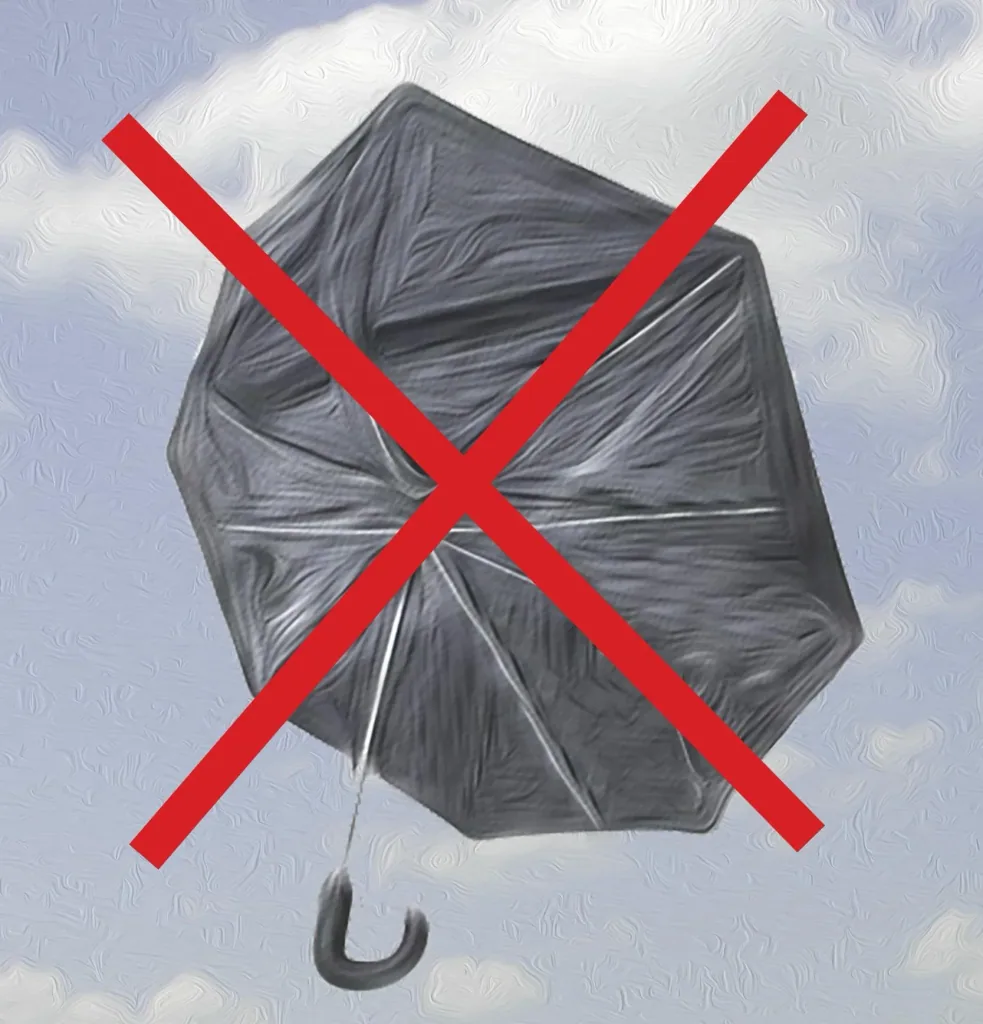 Storm umbrella "Kyrill" II
