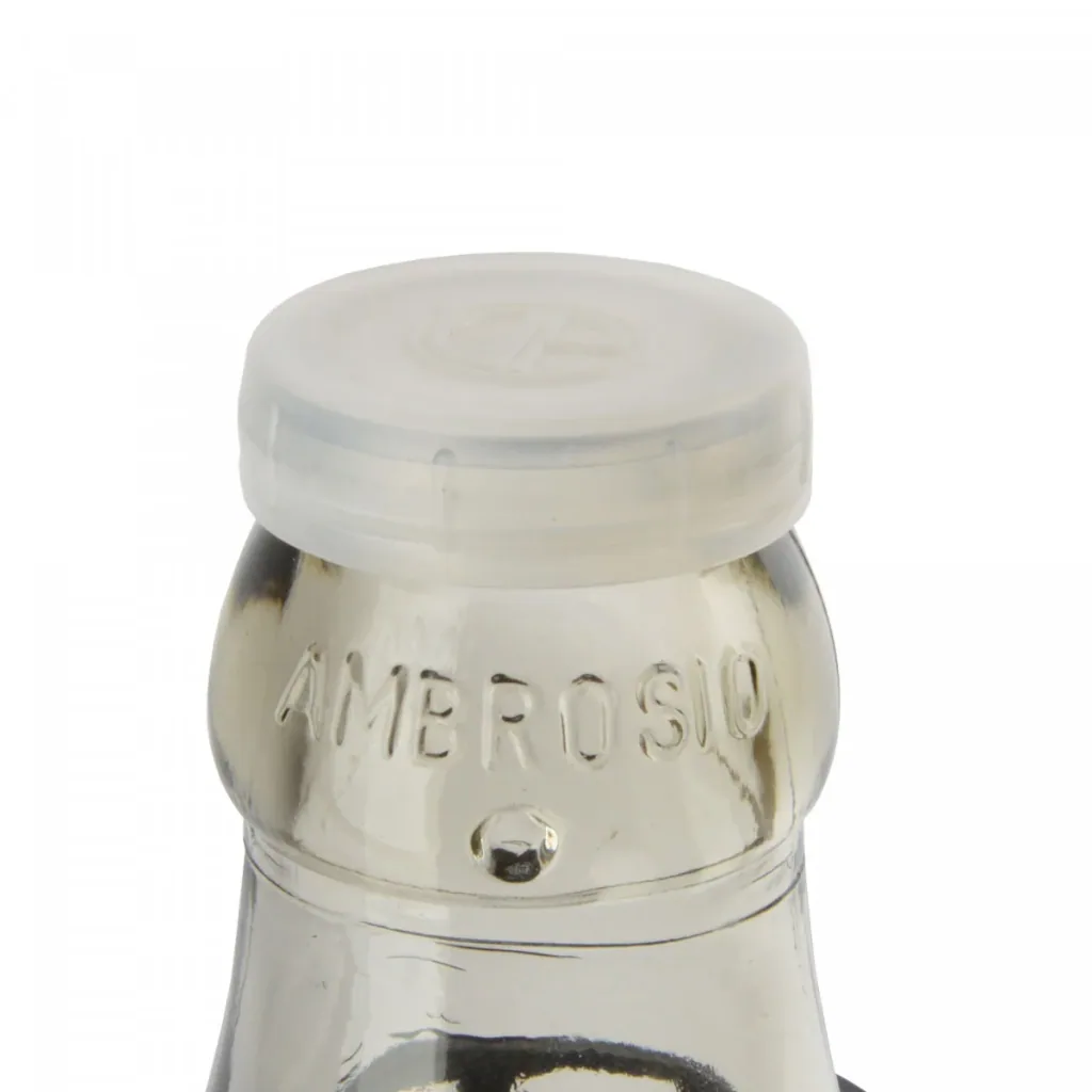 Glass Bottle, Carboy 25L normal opening + plastic cap