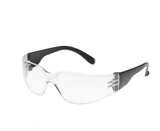 Champ Tector safety goggles, clear lens