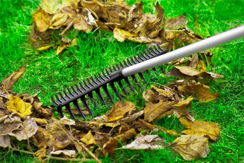 Garden rake 2-in-1 + telescopic handle