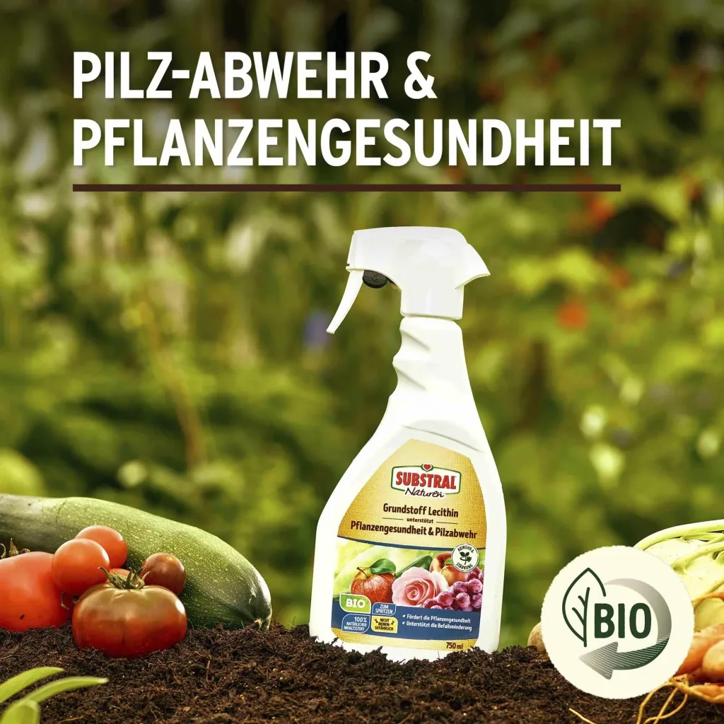 Basic Lecithin Spray 750 ml