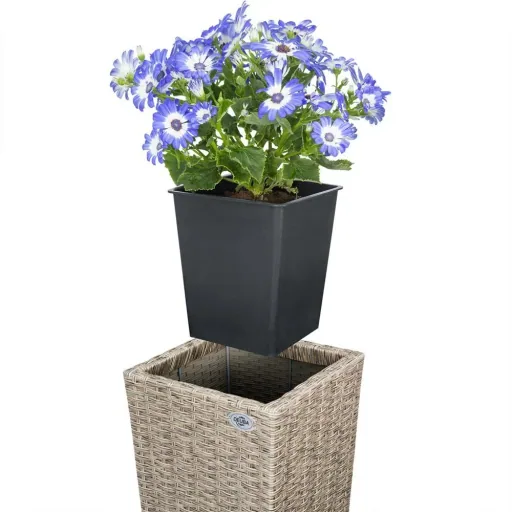 Flowerpots Polyrotan set of 3 with cream