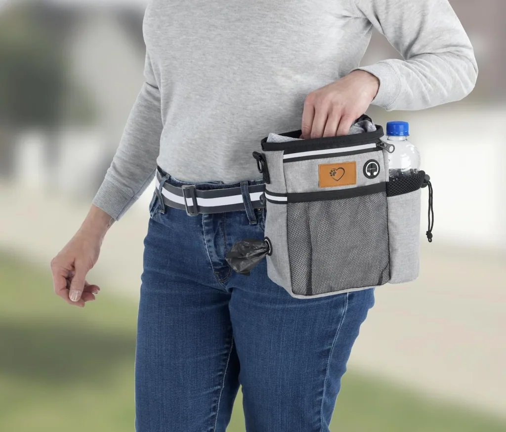 Dog Walking Organizer, Shoulder Bag with Strap, Grey