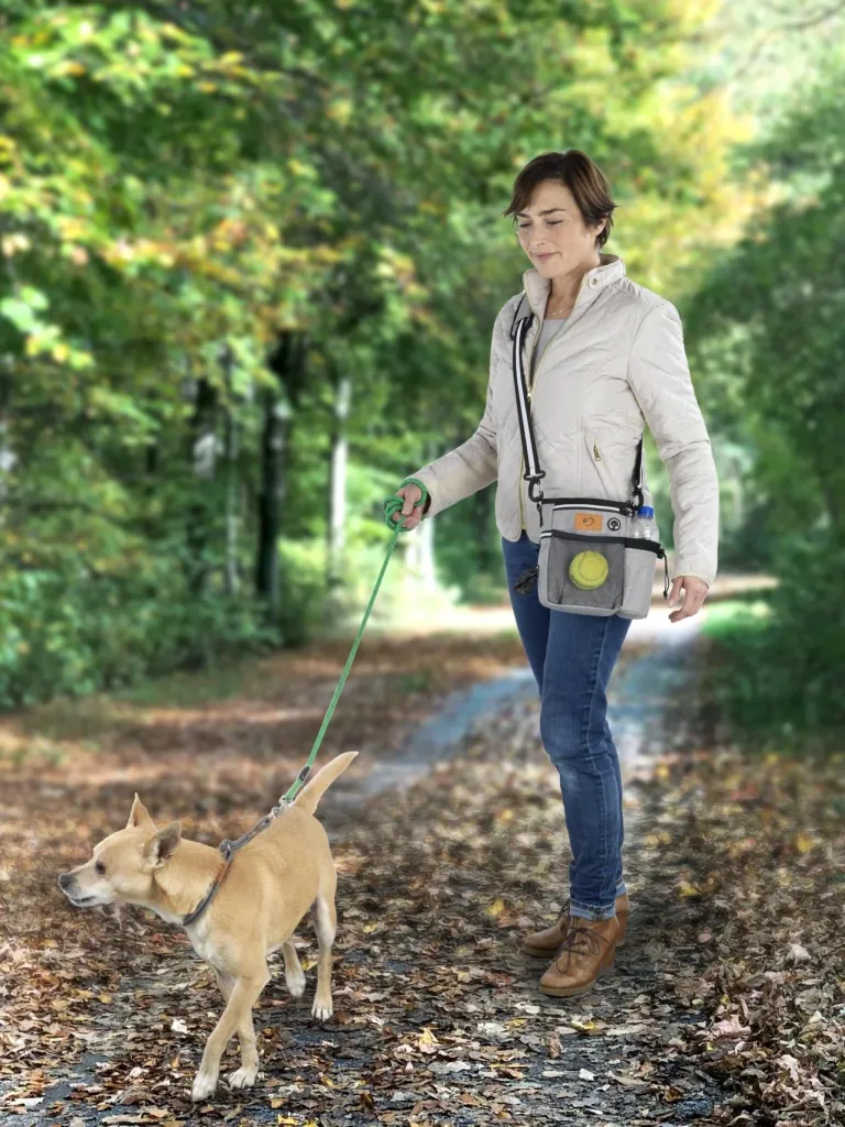 Dog Walking Organizer, Shoulder Bag with Strap, Grey