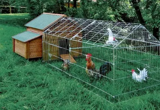 Small animal stable