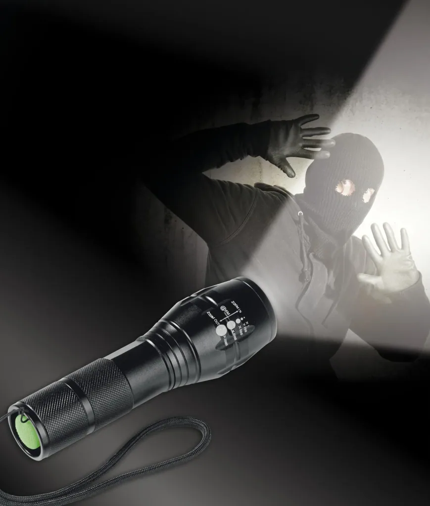 Power flashlight with shock light