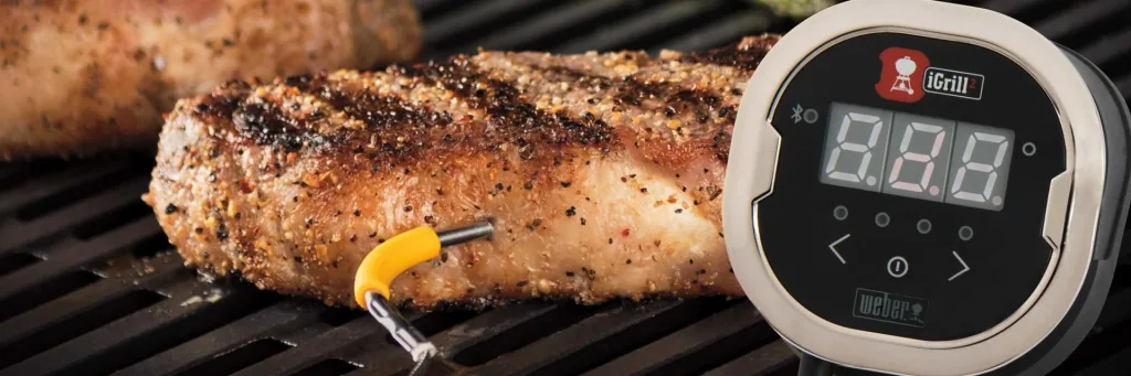 Thermometer iGrill 2 with two sensors