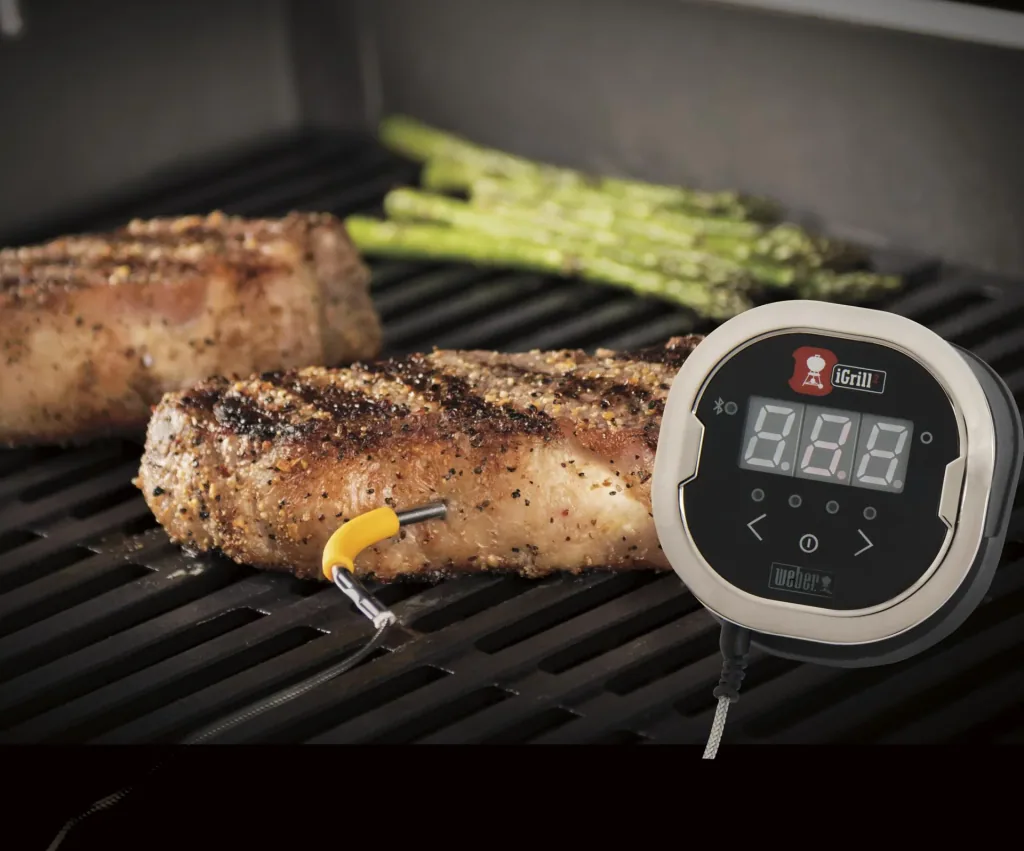 Thermometer iGrill 2 with two sensors