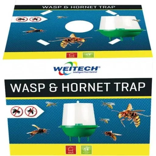Wasp and hornet trap