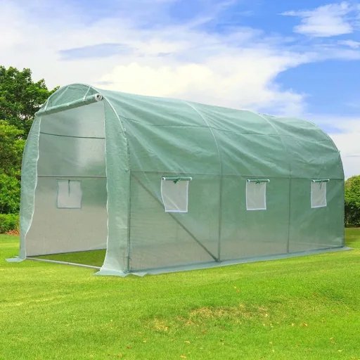 Tomato house with green window