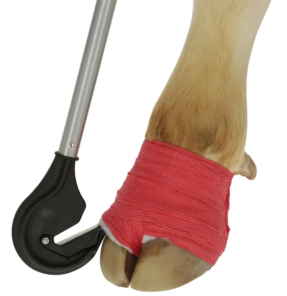 Bandage knife with replaceable blade