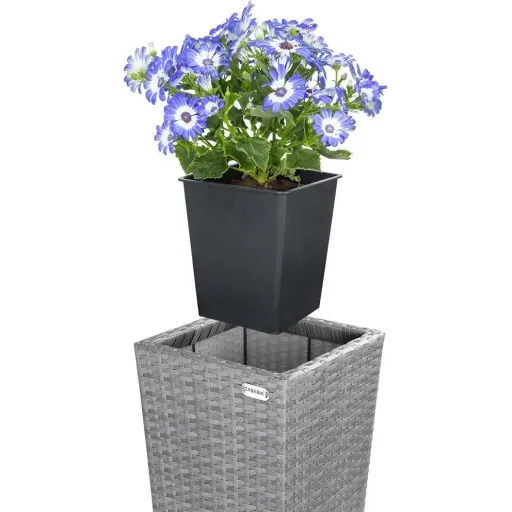 Flower pots - 3 pieces - polyrattan