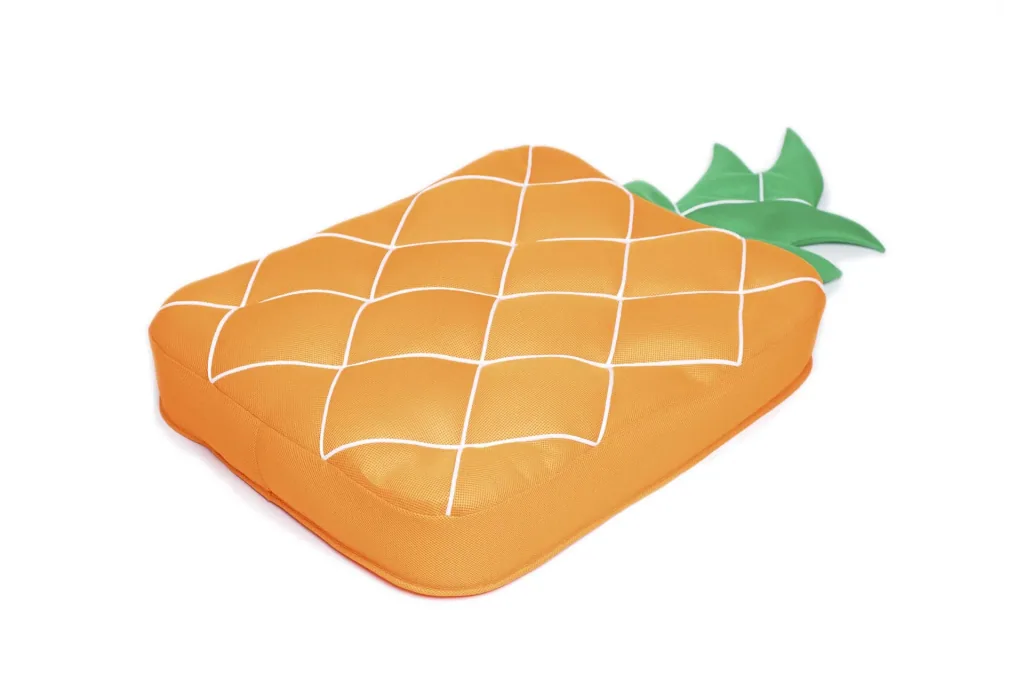 Pool Buddy Pineapple orange, green
