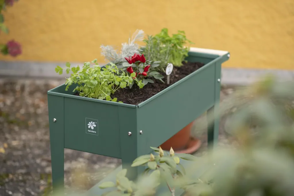 Herb factory olive green