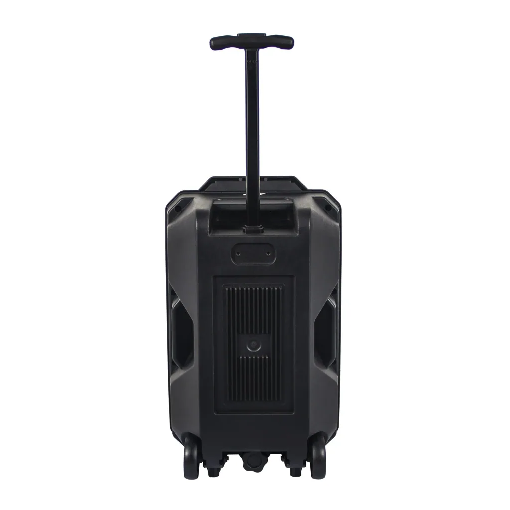 Portable speaker with LED light, karaoke microphone and Bluetooth