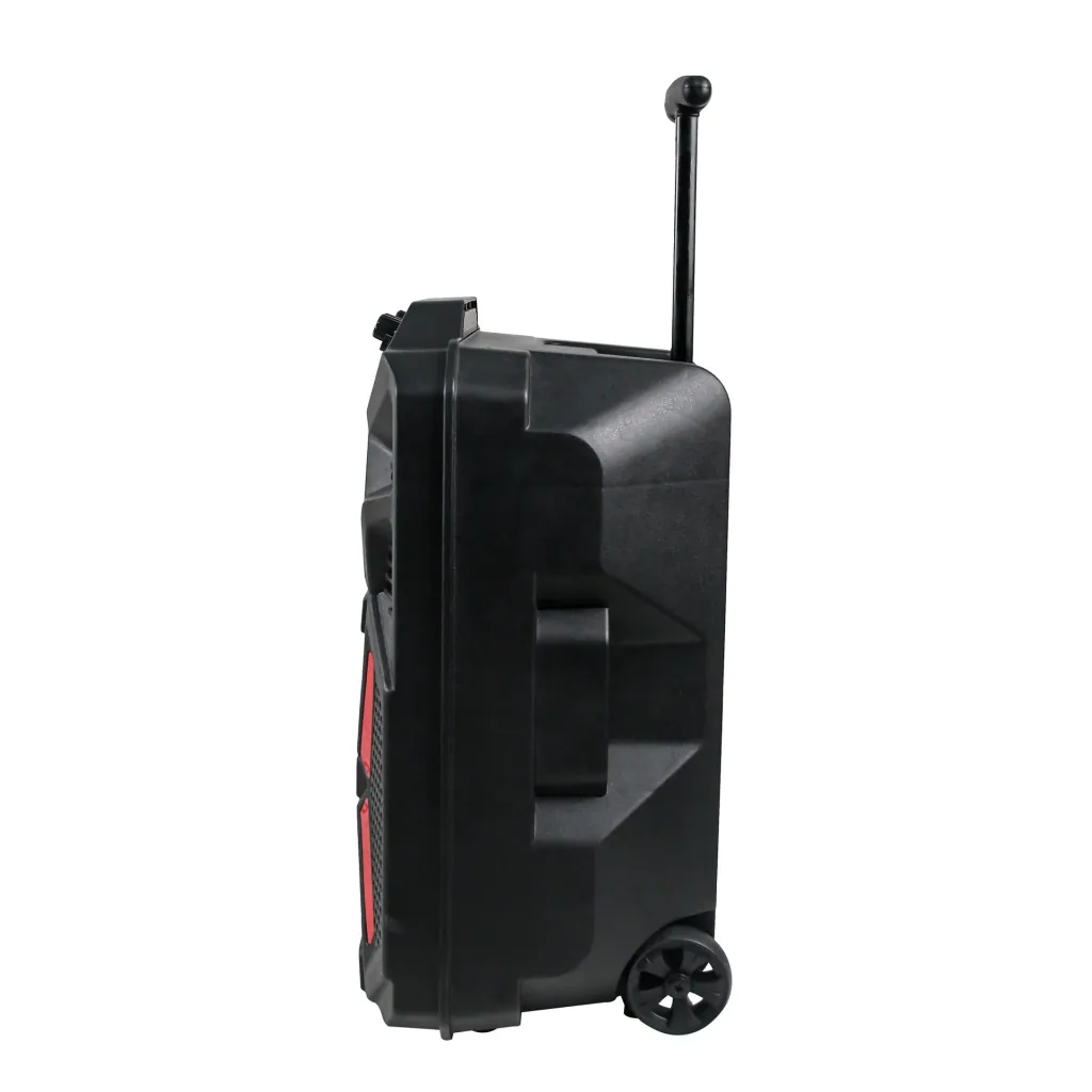 Portable speaker with LED light, karaoke microphone and Bluetooth