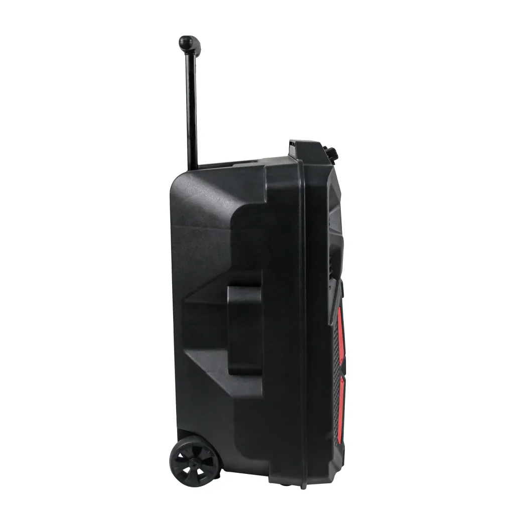 Portable speaker with LED light, karaoke microphone and Bluetooth