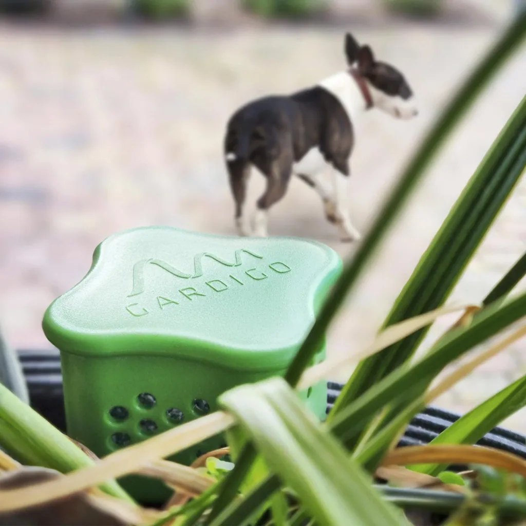 Dog scenter with bed plug