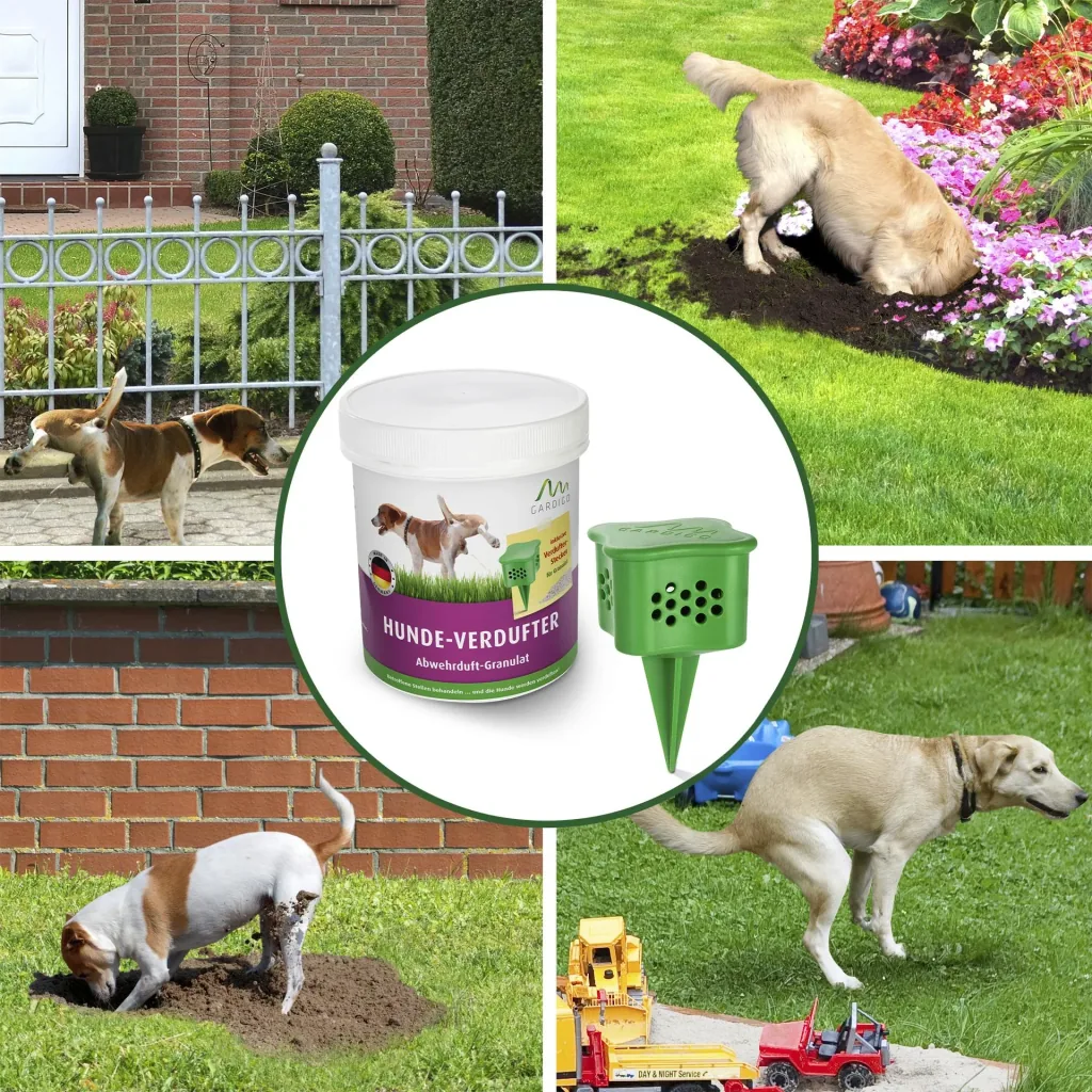 Dog scenter with bed plug