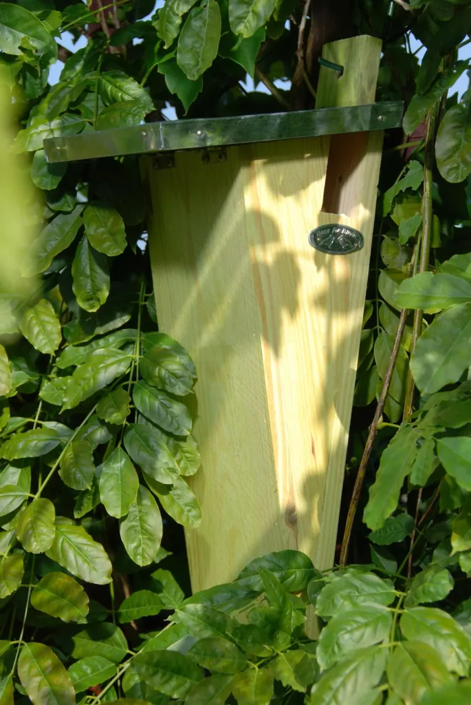 Treecreeper nesting box