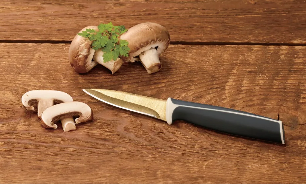 5-piece knife set with titanium coating