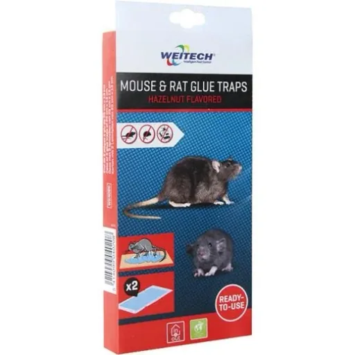 Mousetrap - with glue