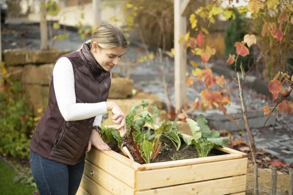 Raised Bed Asket M, 110×70×90 cm, Natural – Spruce Wood, Back-Friendly