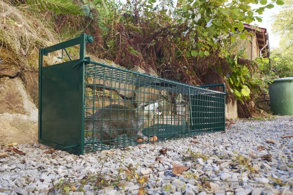 Professional live trap "2" - 120 x 27 x 27 cm